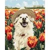 Art Active Ideyka Tapybos pagal skaičius rinkinys „Laimingas labradoras“ 40x50 AP0042