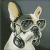 Ideyka Deimantinė mozaika - Fluffy DJ 30x30cm