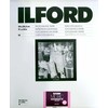 1x 10 Ilford MG RC DL 1M 24x30
