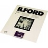 1x 10 Ilford MG RC DL 44M 24x30