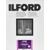 1x100 Ilford MG RC DL 1M 10,5x14,8
