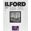 1x100 Ilford MG RC DL 1M 10x15