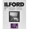Ilford 1x100 Ilford MG RC DL 44M 10.5x14,8