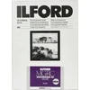 1x100 Ilford MG RC DL 44M 13x18
