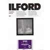 1x100 Ilford MG RC DL 44M 18x24