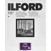 1x100 Ilford MG RC DL 25M 13x18