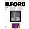 1x100 Ilford MG RC DL 25M 13x18