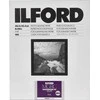 1x 25 Ilford MG RC DL 44M 18x24