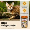 Inaba Ciao INABA Churu Varieties Chicken – skanėstas katėms – 50 x 14g