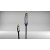 Inca INCA USB kabelis ITCD-02TX Typ C > DisplayPort, 4K60Hz, 2m