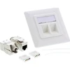 InLine® Cat.6A dėžutė, įleidžiama į žemę 2x RJ45 balta RAL9010