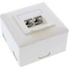 InLine Kištukinis lizdas, 2x RJ45, balta (76842W)