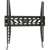InLine Sienos laikiklis 23119B 23 "- 42"