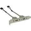 InLine Vadovaukitės 2x USB 2.0 A tipo moteriai (33390)