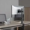 Laikiklis InLine® Tischhalterung, für LCD-/LED-Ekranas bis 81cm (32"), max. 9kg, juodas