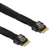 Intel Inter-Tech Kabelis SFF 8654-4i -> SFF 8654-4i- 0,7m
