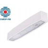 Intelight 3,5W avarinis šviestuvas SUPREMA SO 650 NM 2H AT IP54 NT, baltas