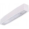 Intelight 3,5W avarinis šviestuvas SUPREMA SO 650 NM 2H AT IP54 NT, baltas