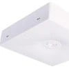 AVARINIAI ŠVIESTUVAI INLEWA-92814 Intelight