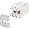 Intellinet 771283 modulis Keystone RJ45 UTP Cat5e, Punch-Down, baltas