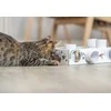Trixie Interaktyvi edukacinė žaislų dėžutė katei Trixie Cat Activity Paws'n'Treats Box, 35×7×20 cm