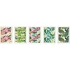 Interdruk Brulion A4 / 96K trumpas (5 vnt.)