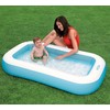 Baseinas vaikams INTEX 57403 166x100x28 cm