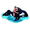 Intex Lil' Whale Ride On Swimming Board Juodas/Baltas