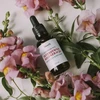 Iossi veido serumas nakvišų / baobabo / miros / smilkalų ir pačiulių 30 ml