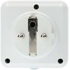 Išmanusis lizdas Nedis SmartLife ZBPO130EWT ZigBee 3.0