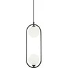 Italux Pakabinamas šviestuvas Lupus PND-3965-2-BK