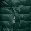 Striukė Jack Wolfskin Passamani Down M A61836-4161