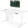 Jan Nowak Elektrinis staliukas su reguliuojamu aukščiu, stalčiumi ir belaidžiu Qi įkrovikliu, baltas, 1200 mm: ELLIS (5907367514612)