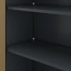 Jan Nowak Biuro spintelės Metalinė spinta su slėptuve antracito / riešuto Eco Design* (TOMASZ)