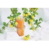 Jata WECK formų stiklainis 580 ml 6 vnt