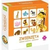 Jawa Stalo žaidimas Memory Animals