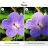 JJC žiedinė lemputė makro žiedinė lemputė su lempos blykste Olympus Tg-7 Tg-6 Tg-5 Tg-4 Tg-3 Tg-2 / Mrl-tg1