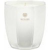 Dr. Vranjes Firenze Ginger Lime Scented Candle, 200 g