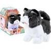 Jokomisiada The interactive Puppy Dog is looking for a mother ZA3850
