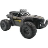 Ramiz Valdomas MEGA Crawler su kamera