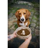 JOSERA ėriena & ryžiai – sausas Maistas šunims – 3kg