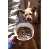 Josera Žalias Petfood Hypoallergenic with Insects 3kg (50015137)