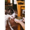 Josera Žalias Petfood Hypoallergenic with Insects 3kg (50015137)