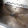 Melle K2 ERLA GRILLEX GRILIŲ IR ORKAIČIŲ VALIKLIS 750ML