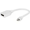 Baltas DisplayPort į Mini DisplayPort adapteris