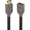 DisplayPort Kabelis - LINDY aktyvus DisplayPort 1.2 Kabelis, 15 m, Juodas