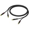 [[KEEP0]] Procab RCA (Cinch) x2 - RCA (Cinch) x2 1 m juodas (PRA800/1)