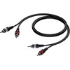 PROCAB CAB800/1.5 2 x RCA/Cinch vyrams - 2x RCA/Cinch vyrams 1,5 ma