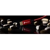 Laidas Reagle DisplayPort - DisplayPort 1 m raudonas