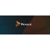Laidas Reagle DisplayPort - HDMI 2 m juodas (RDH200P3)